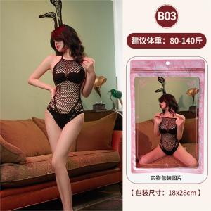 Lingerie in 16 styles (randomly selected)